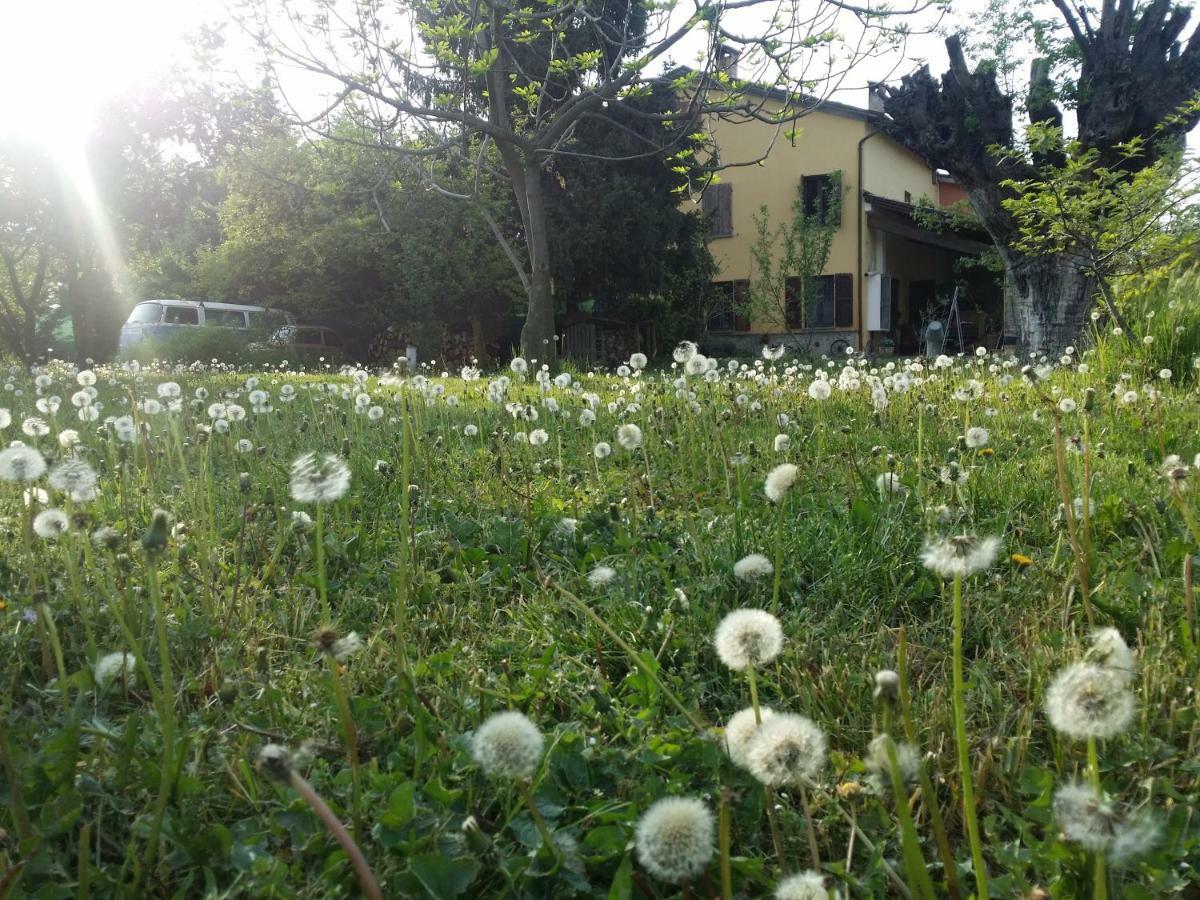 Tempat Tidur & Sarapan R&b Albero Cavo Parma